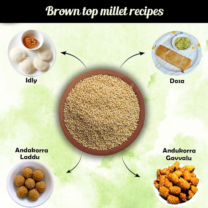 Siridhanya Unpolished and Organic (Browntop Millets 920gm pack of 5, Gross wt 4600gm) Organically Grown from Karnataka