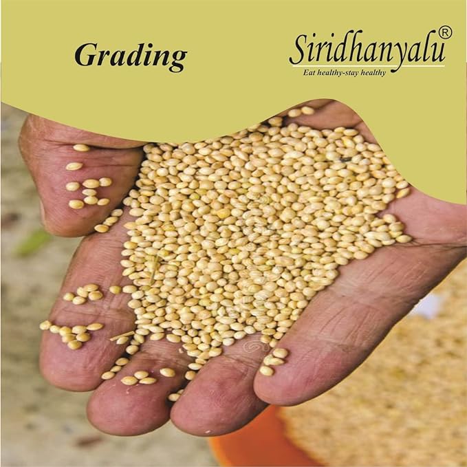 Siridhanya Unpolished & Organic Millet 5 Grains + 5 Flour Combo (Kodo Little Foxtail Browntop & Barnyard) Gwt. (10) Kg.